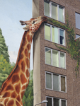 908277 Detail van de muurschildering 'De Giraf' van Jan is de Man (Jan Heinsbroek), onlangs aangebracht op de gevel van ...